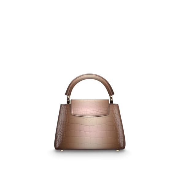 Louis Vuitton Capucines Mini