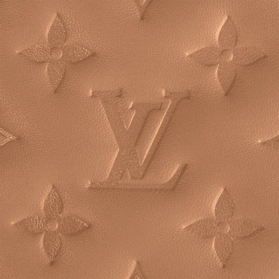 Louis Vuitton Pochette Coussin