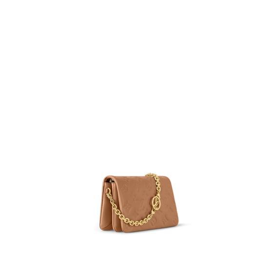 Louis Vuitton Pochette Coussin