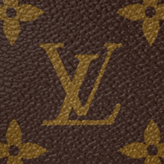 Louis Vuitton Mini Pochette Accessoires