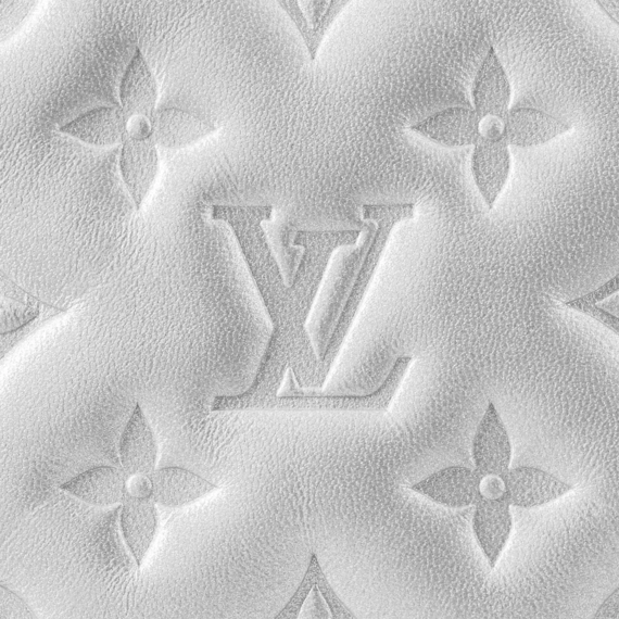 Louis Vuitton Pochette Coussin