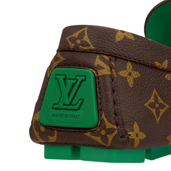 Louis Vuitton LV Driver Moccasin