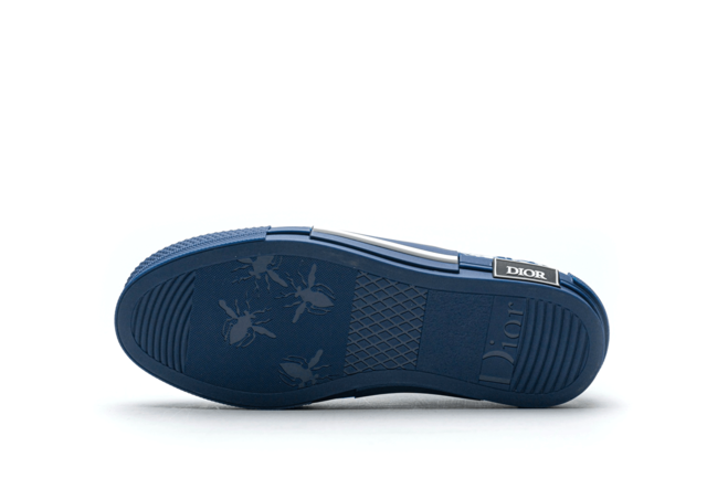Dior B33 Low sneakers
