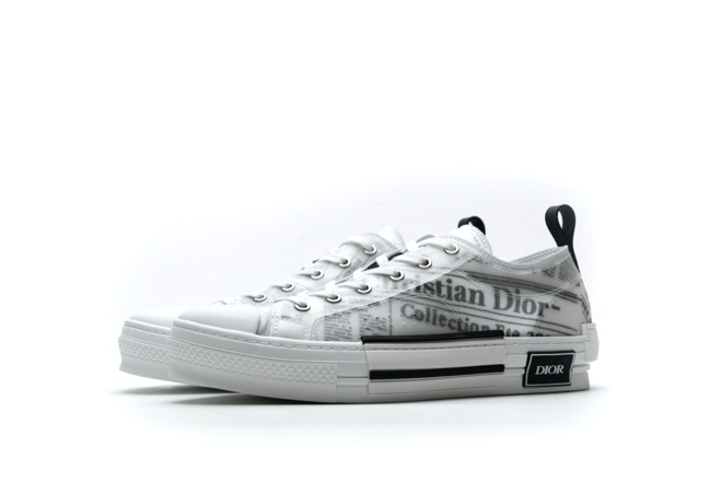 Daniel Arsham x Dior B23 Low Newsprint Black White