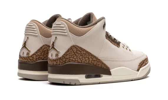 Air Jordan 3 - Palomino