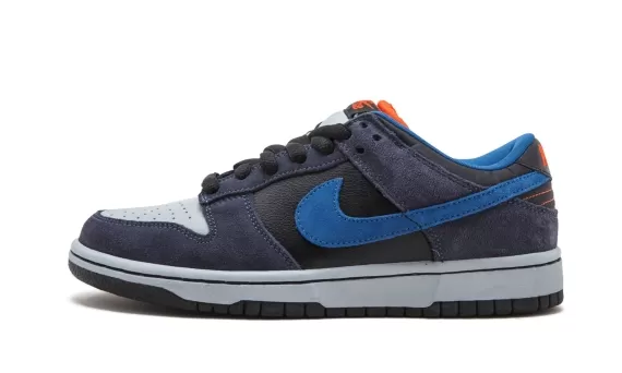 Dunk Low Pro SB - Patagonia