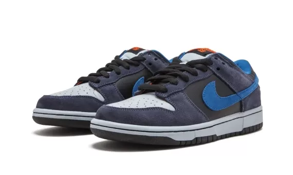 Dunk Low Pro SB - Patagonia