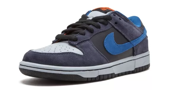 Dunk Low Pro SB - Patagonia