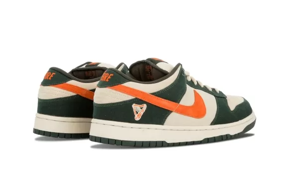 SB Dunk Low Pro - Eire