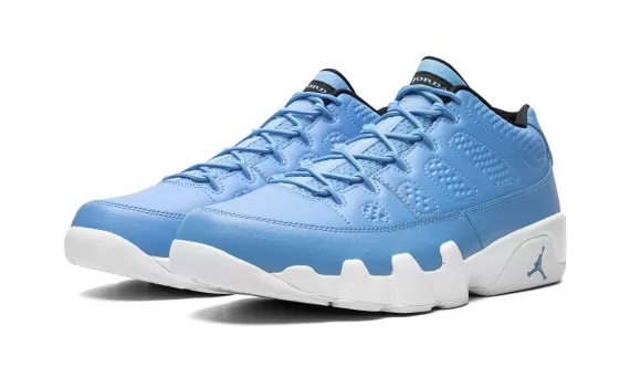 Air Jordan 9 Retro Low - Pantone